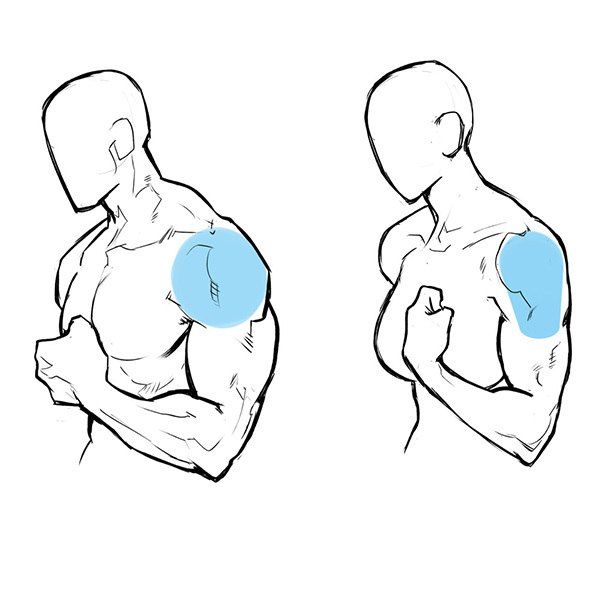 600x600 Male And Female Arms Or Shoulders Human
