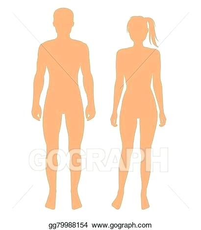 female body drawing template