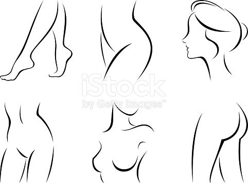 482x357 Vector Illustration Of Set Of Stylized Female Body Parts