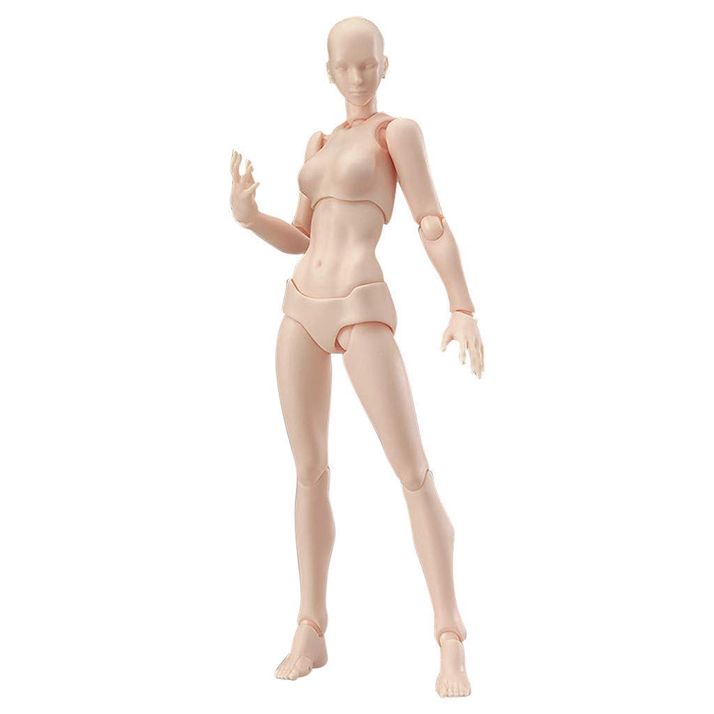 1024x1024 Action Figure Drawing Models, Malefemale Body Kun