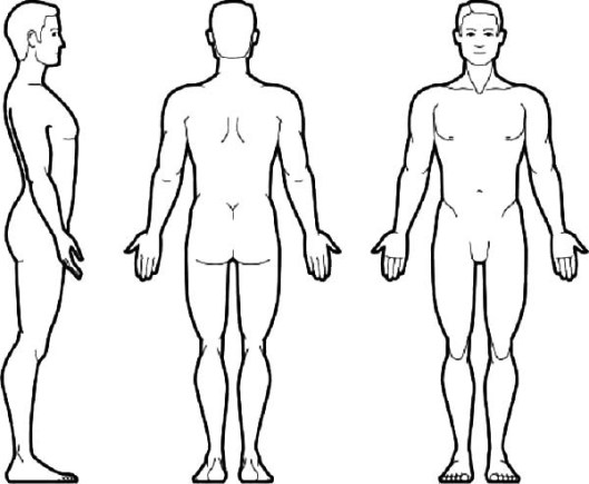529x435 Male Female Bodies Beautiful