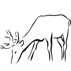 236x236 Deer Clipart Outline Collection