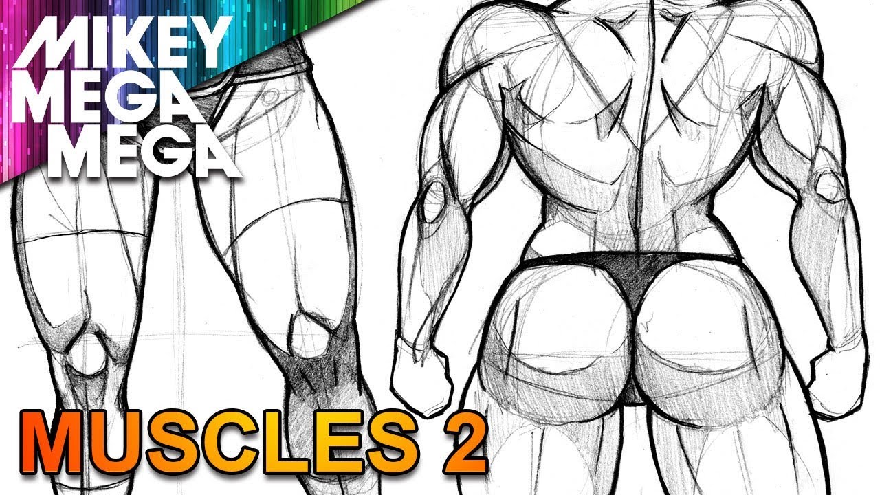 1280x720 How To Draw Muscle Back Legs