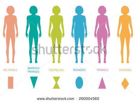 450x338 Female Body Types Anatomy,woman Front Figure Shape, Vector