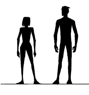 310x330 female body shape human body silhouette png, clipart, anatomy