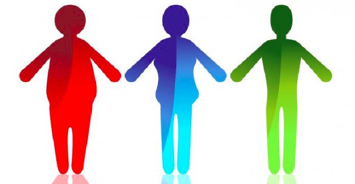 713x369 The Beginner's Guide To Body Types Ectomorph, Mesomorph