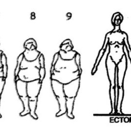 270x270 A Body Silhouettes