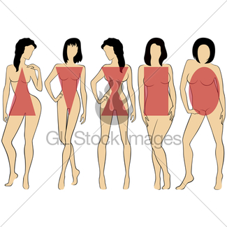 325x325 Female Body Types Gl Stock Images
