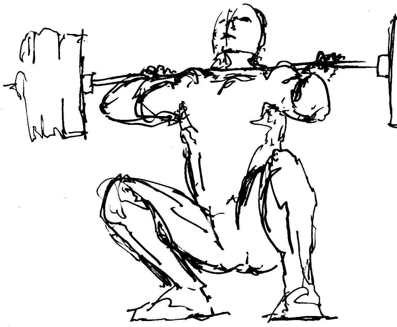1264x1040 Weightlifting Drawings Images Pictures