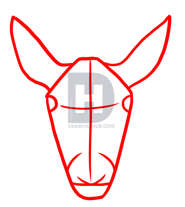 644x720 How To Draw Deer, Step