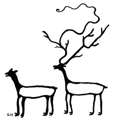 454x479 Male Female Deer