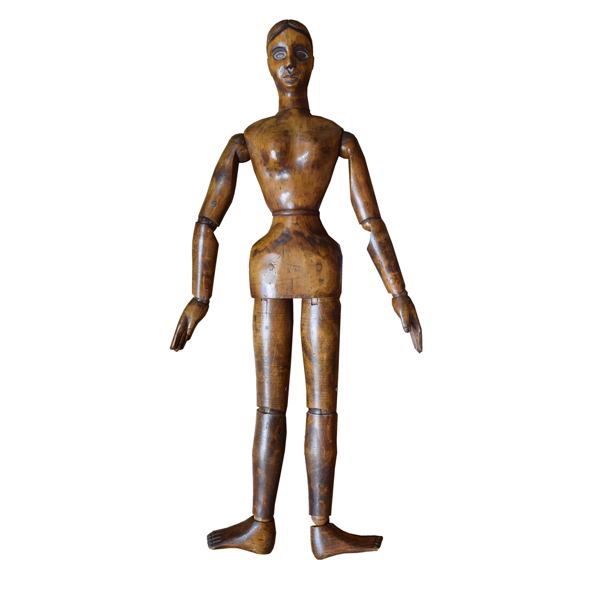 1200x1200 French Articulated Drawing Model