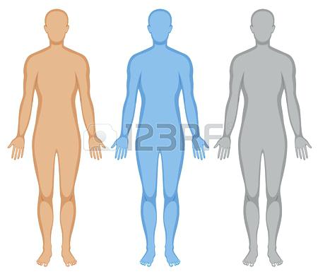 450x388 Human Body Outline Templates Doc Free Premium Male Drawing