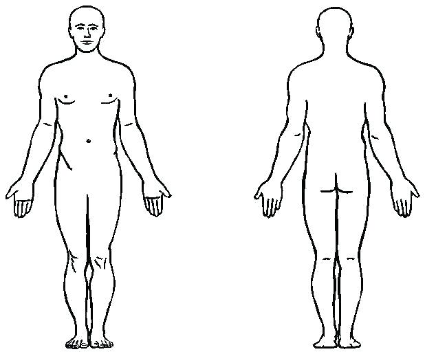 618x515 Human Outline Template Group Body Printable Line Drawing