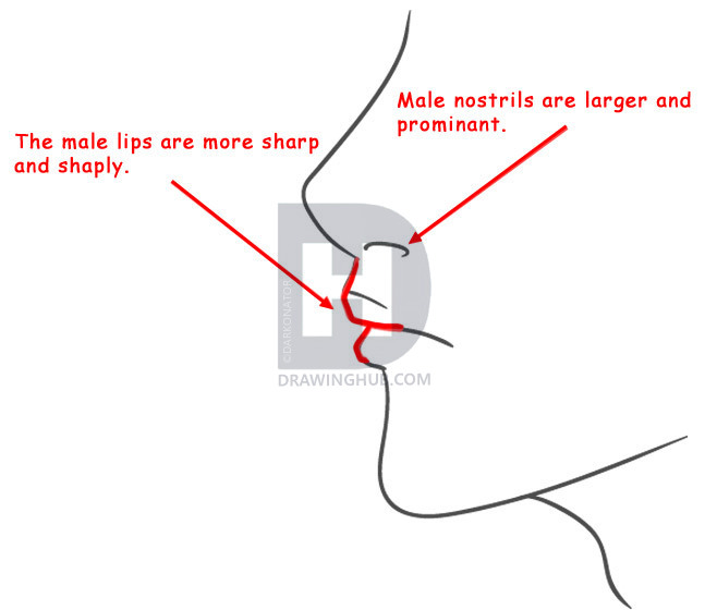 658x561 How To Draw Profile Faces And Mouths Side View, Step
