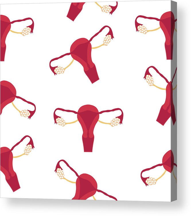 666x750 female reproductive system, sketch hand drawn illustration