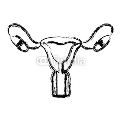 400x400 blurred hand drawing contour female reproductive system vector
