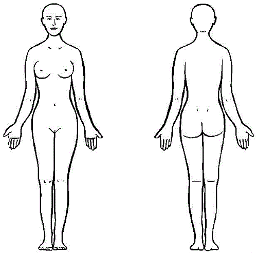 500x495 female body outline physical examination body outline, human