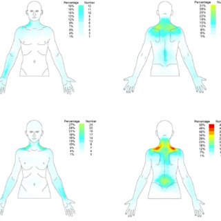 320x320 The Template Of Male And Female Body Charts