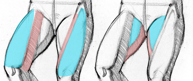 630x267 How To Draw Legs The Adductors Proko