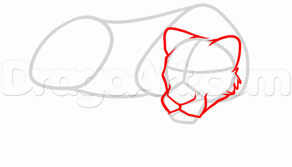 1200x688 How To Draw A Lioness, Step