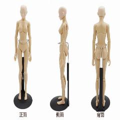 240x240 Sketch Cartoon Drawing Female Mannequin Model Plastic Massage