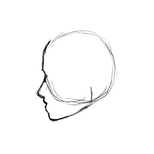 311x311 How To Draw A Female Face In Profile Sharenoesis