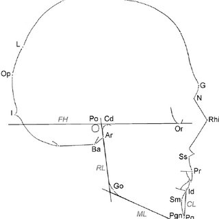 320x320 Size And Shape Variables Of Female Upper Palaeolithic Skulls