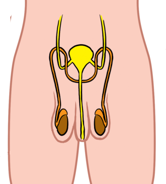 326x361 natural sciences grade