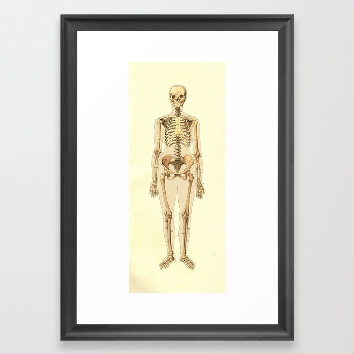 Female Skeleton Drawing | Free download on ClipArtMag