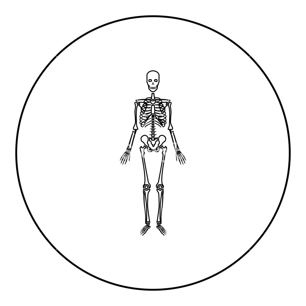 1000x1000 Human Skeleton Icon Black Color In Round Circle Outline Vector
