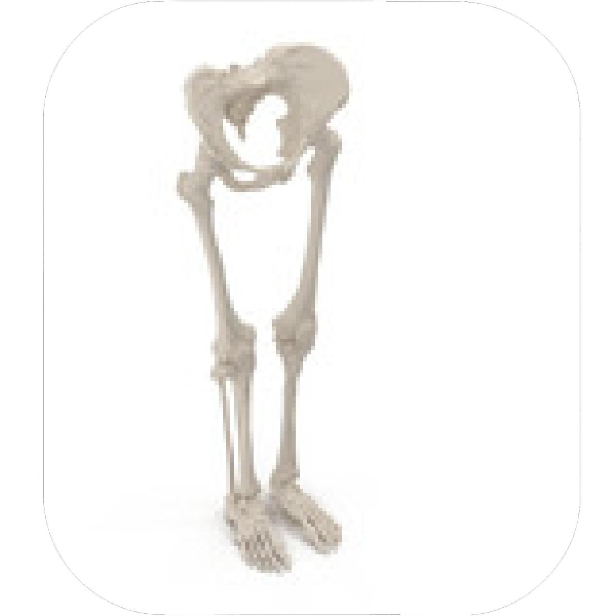 1200x1200 Designs Mein Mousepad Design Mousepad Selbst Designen