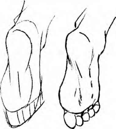 380x422 head tilts and turns