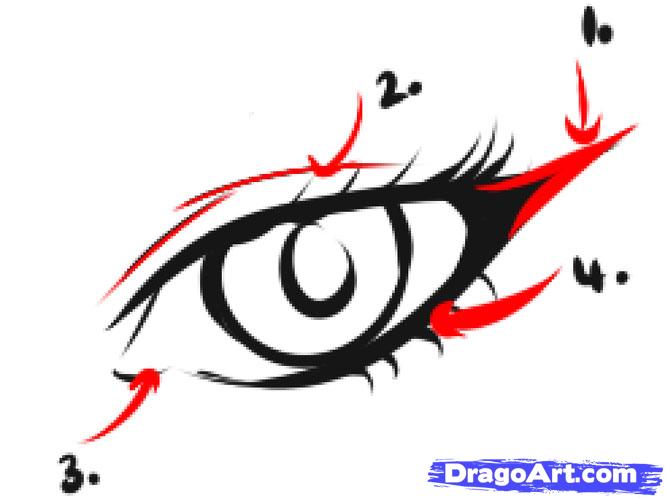 665x498 Draw Female Eyes, Step