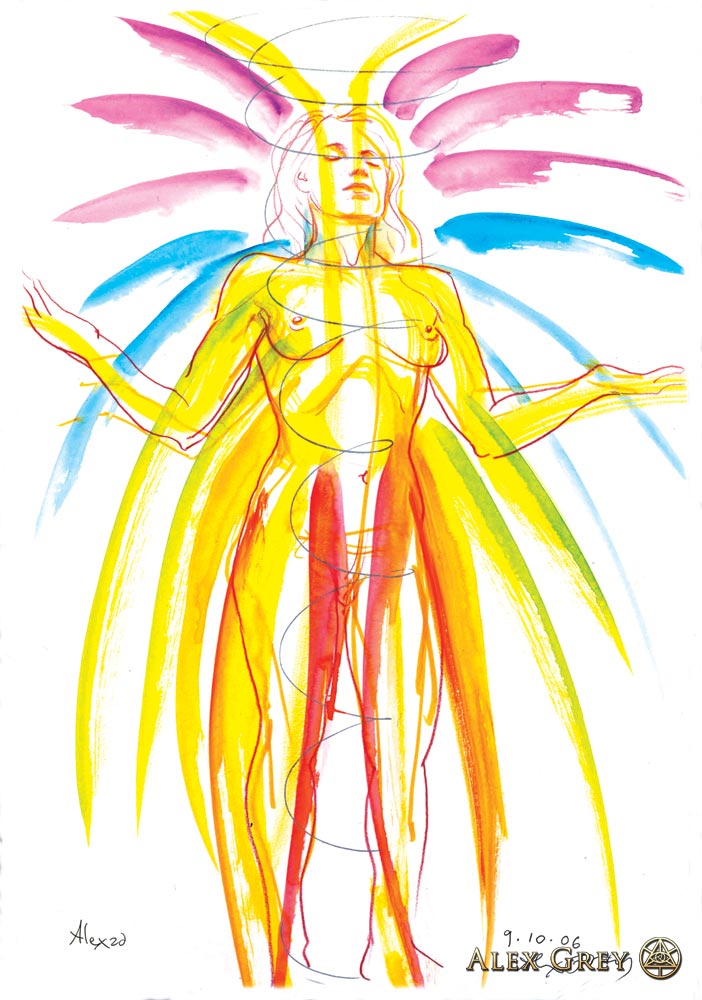 702x1000 Alexza Alex Grey