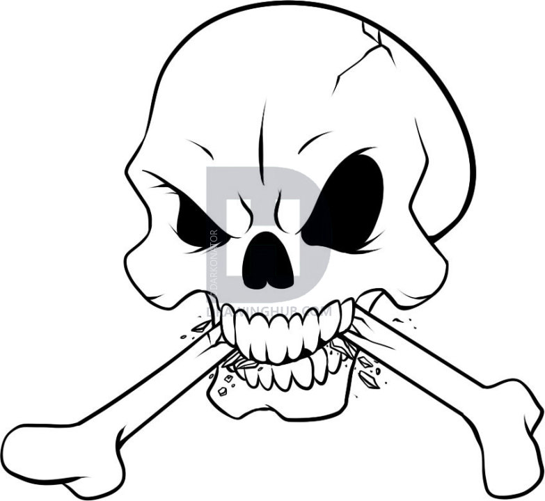 783x720 How To Draw Bones, Step