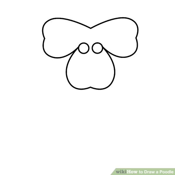 560x560 How To Draw A Poodle