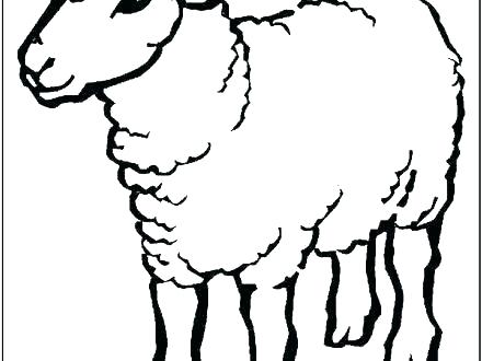 440x330 Sheep Face Coloring