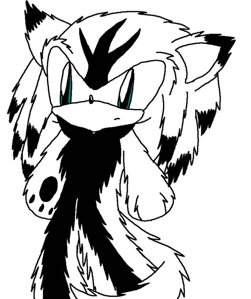 819x976 Fender The Wolf