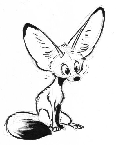 400x500 Fennec