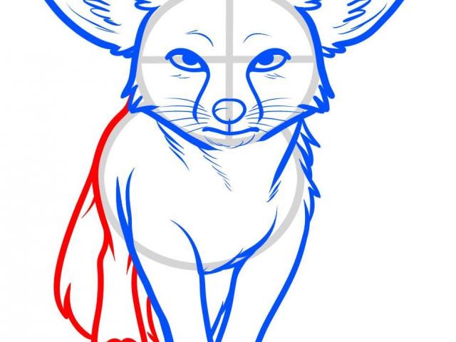 640x480 Free Fennec Fox Clipart, Download Free Clip Art