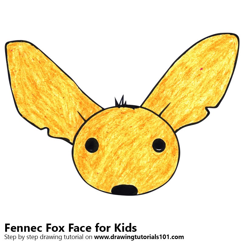 800x800 Learn How To Draw A Fennec Fox Face For Kids