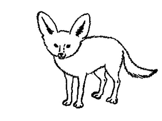 640x480 Fennec Fox Clipart Black And White