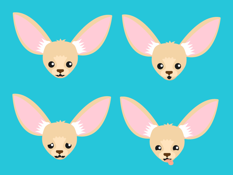 800x600 Many Faces Of Fergus The Fennec Fox