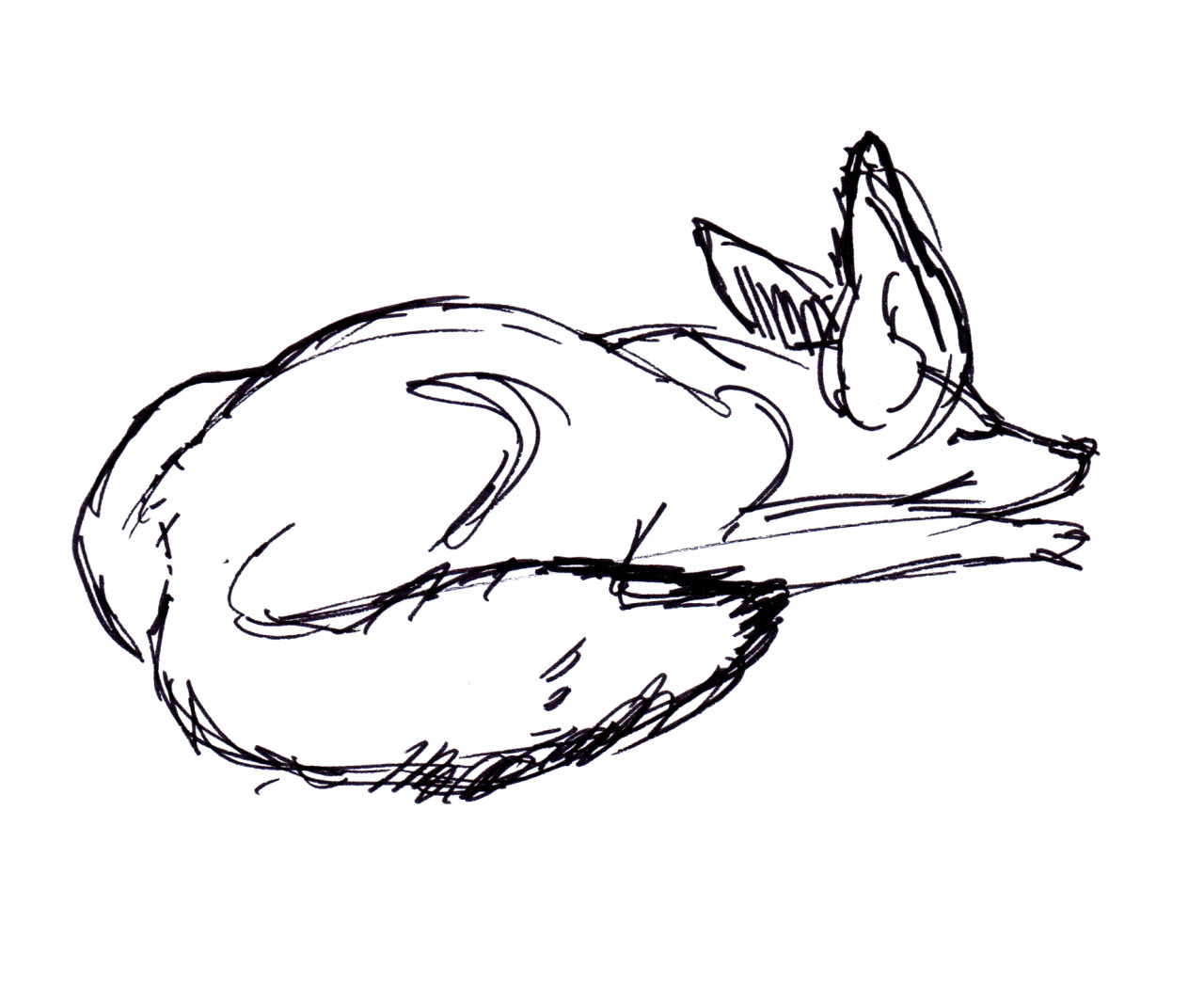 1280x1064 Aapstra Art Sleeping Fennec Fox Last Sunday My Friend Patrick