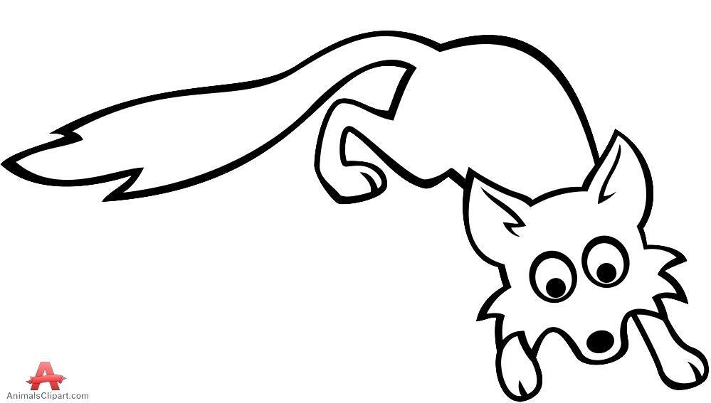 999x567 Fox Colorations Simplesnacks Top