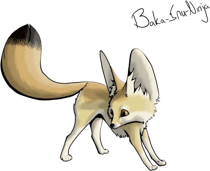 803x653 Download Fennec Fox Transparent Png