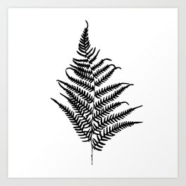264x264 Fern Art Prints