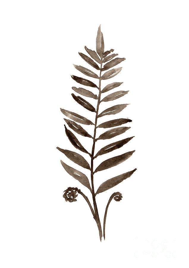 636x900 Fern Brown Leavabstract Watercolor Painting Botanical Illustration
