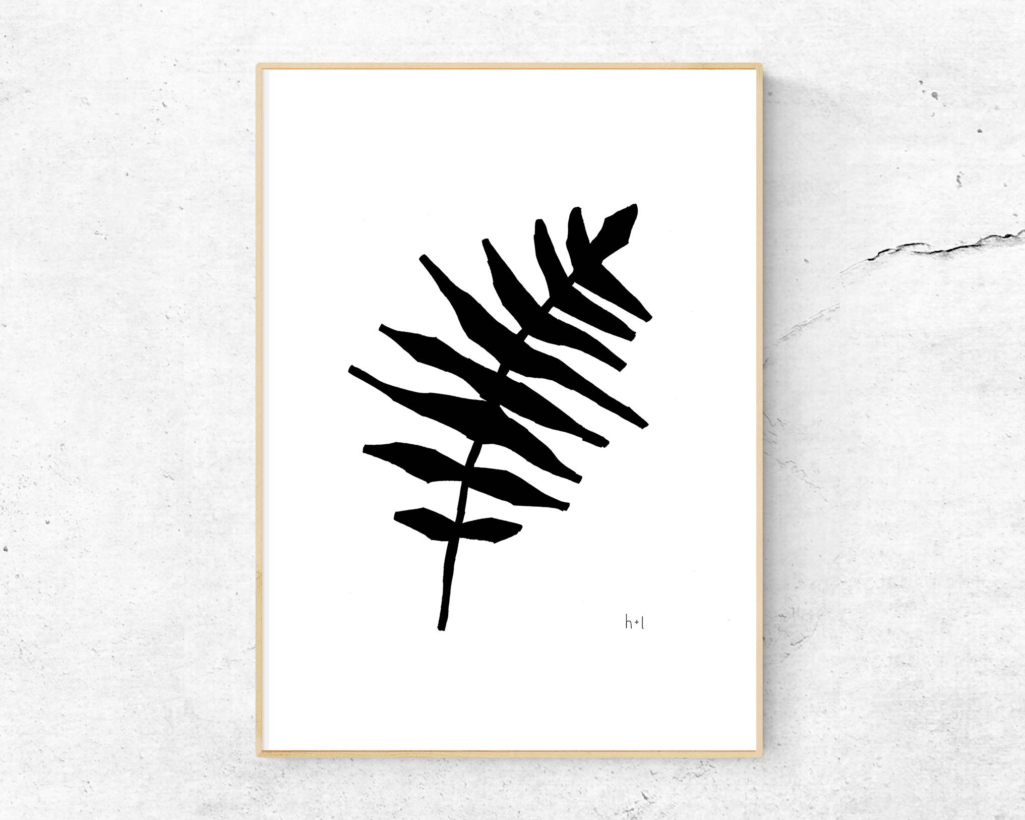 2033x1626 Fern Leaf Ink Drawing Digital Download Print